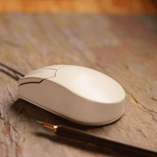 Mouse